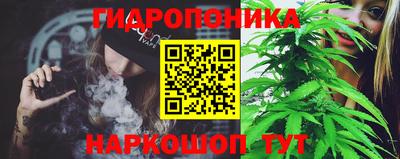 шишки Обь