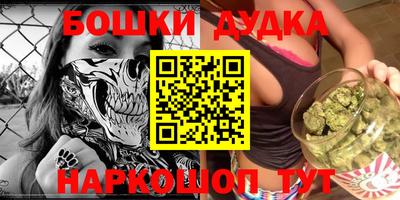 шишки Обь
