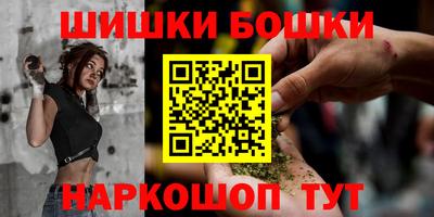 шишки Обь