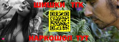 шишки Обь