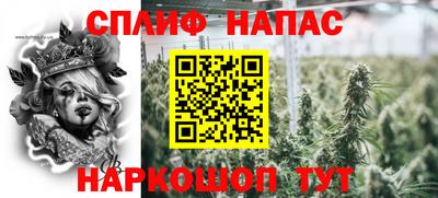 шишки Обь